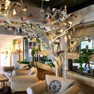 Balux Glyfada